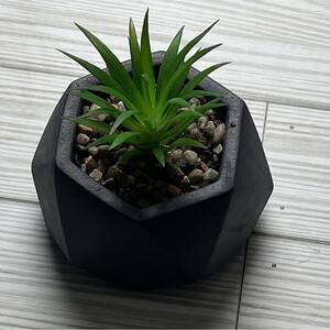 i Greenery Cement Pot Succulent  Decoration NWT
